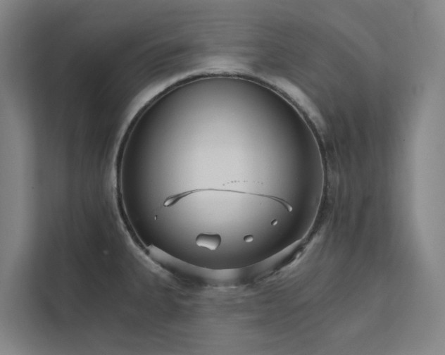 X0000111931335200908101134