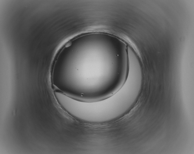 X0000111931336200908101134