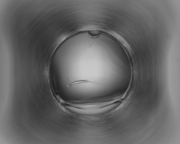 X0000111931337200908101134