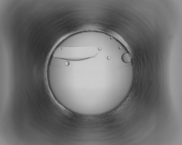 X0000111931339200908101134