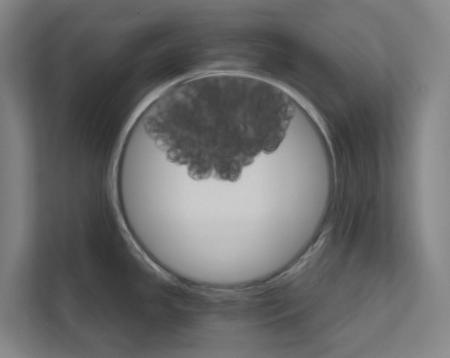 X0000111931341200908101134