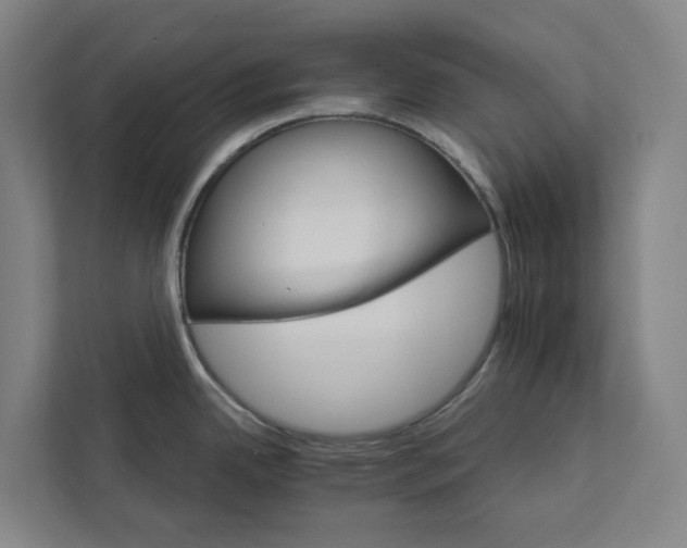 X0000111931342200908101134