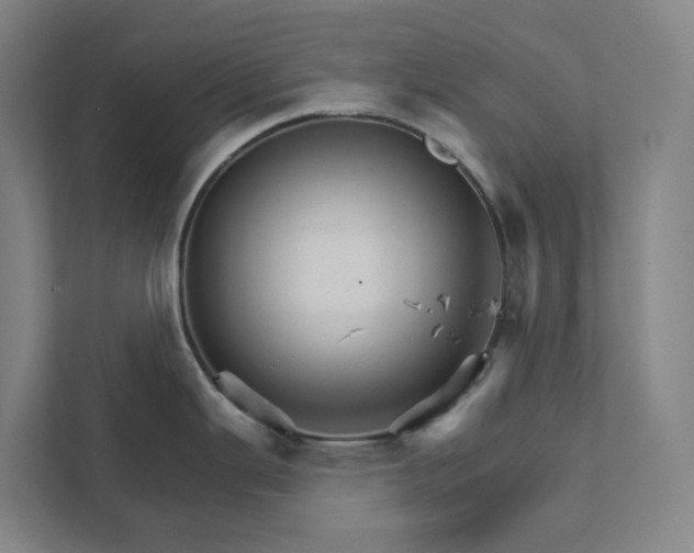 X0000111931343200908101134