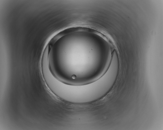 X0000111931344200908101134