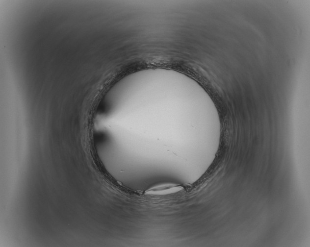 X0000111931345200908101133