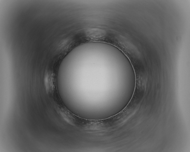 X0000111931346200908101133