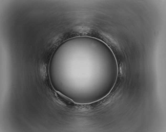 X0000111931347200908101133