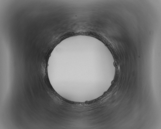 X0000111931348200908101133