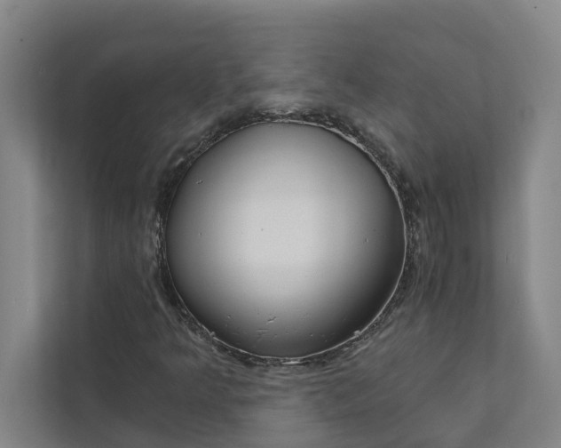 X0000111931349200908101133