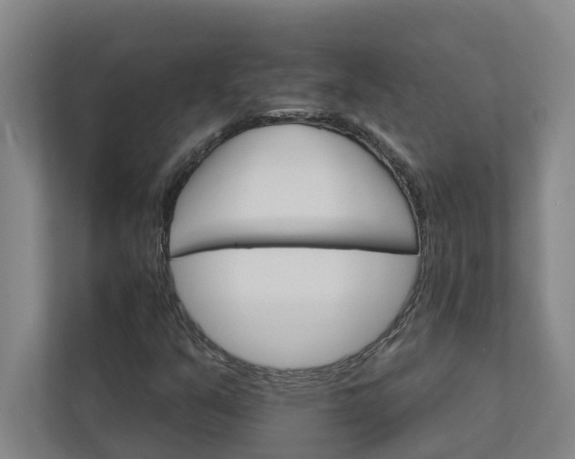 X0000111931351200908101133