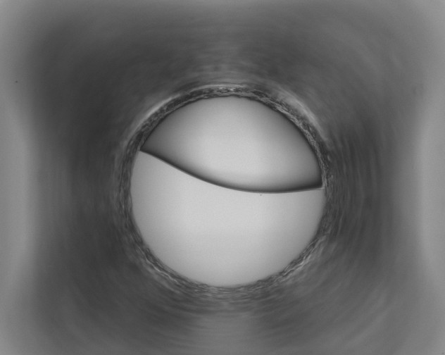 X0000111931352200908101133