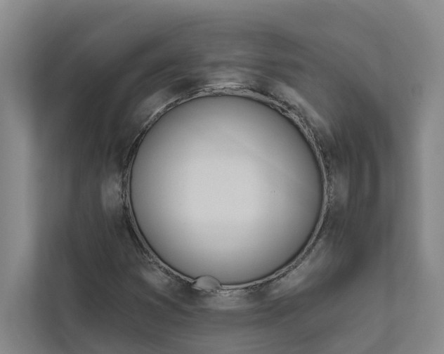 X0000111931353200908101133