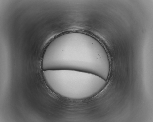 X0000111931355200908101133