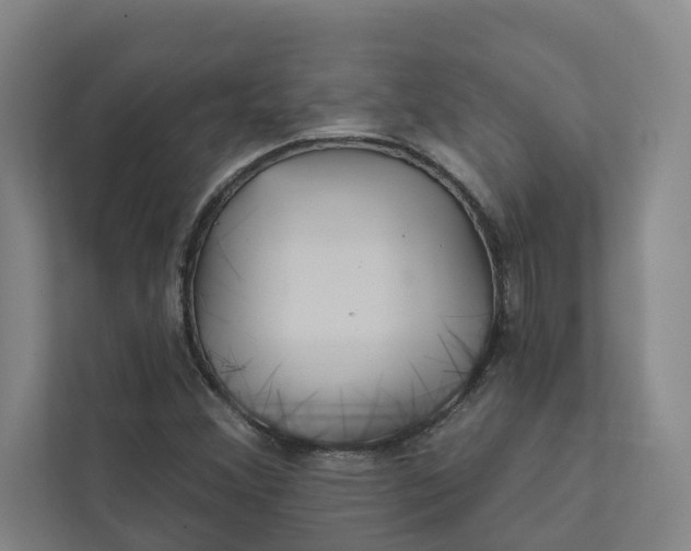 X0000111931356200908101133