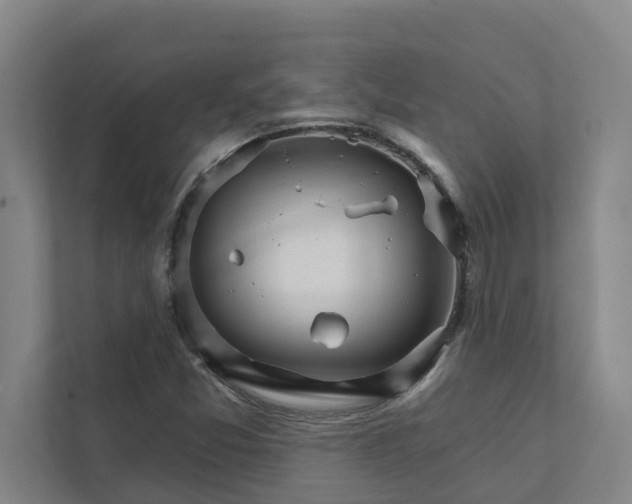 X0000111931357200908101133