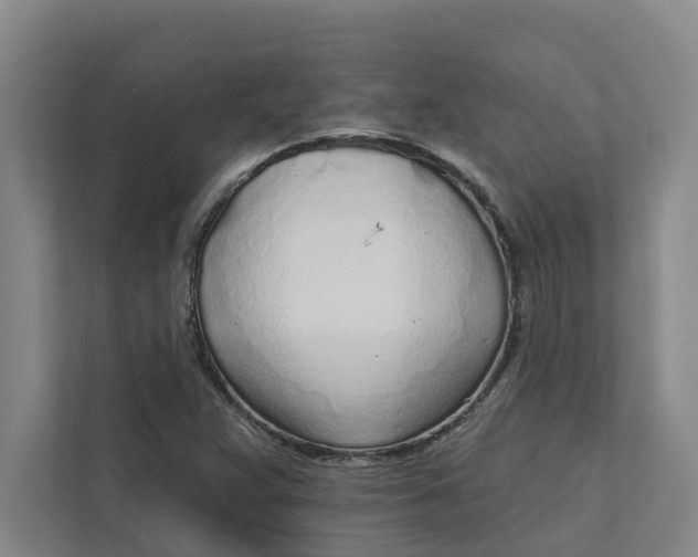 X0000111931359200908101133