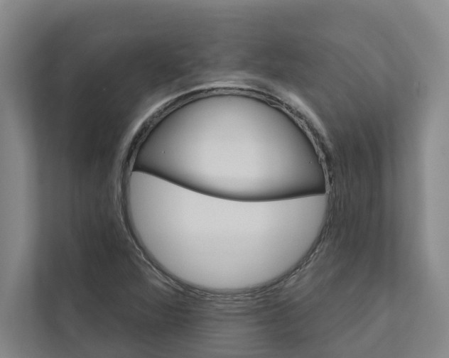 X0000111931360200908101133