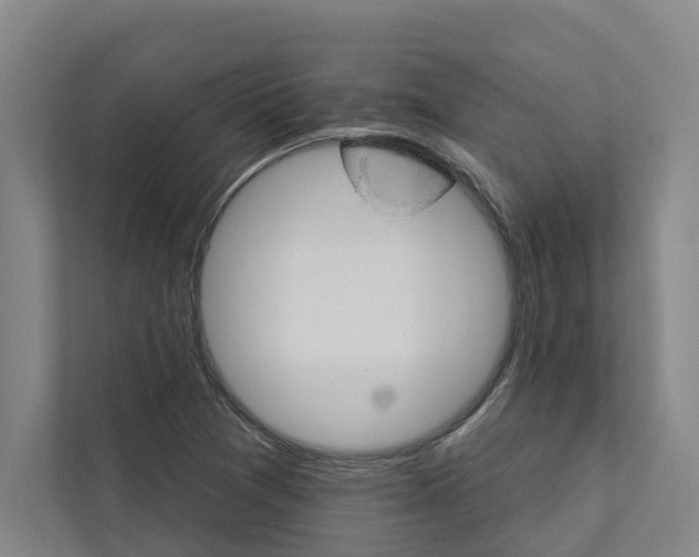 X0000111931361200908101133