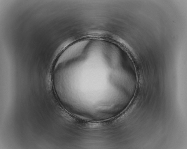 X0000111931362200908101133