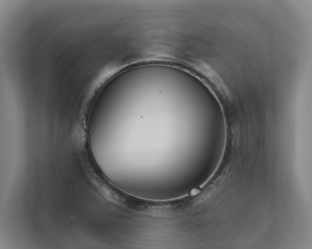 X0000111931363200908101133