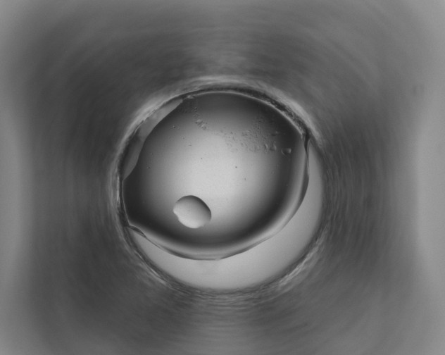 X0000111931365200908101133