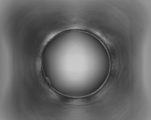 X0000111931367200908101133