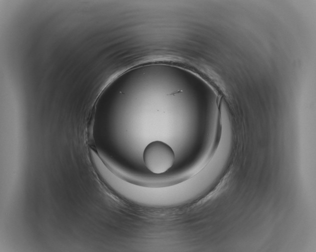 X0000111931369200908101133