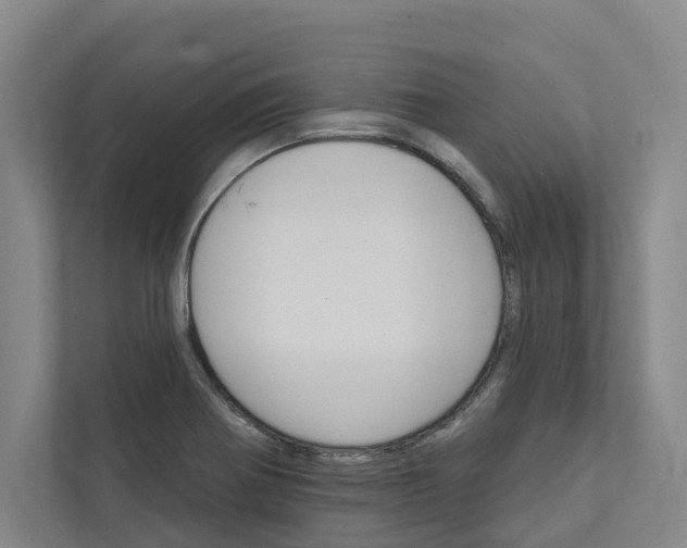 X0000111931370200908101133