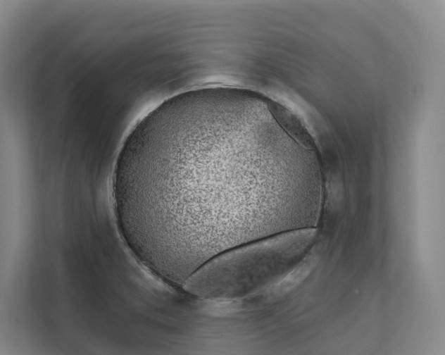 X0000111931373200908101133