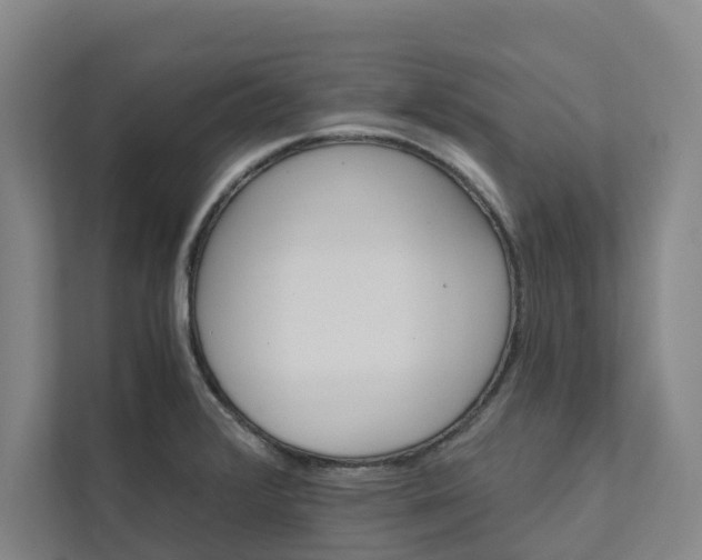 X0000111931376200908101133