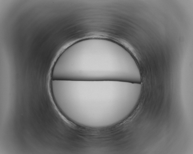 X0000111931379200908101133