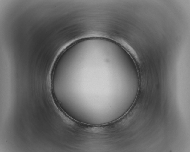 X0000111931380200908101133