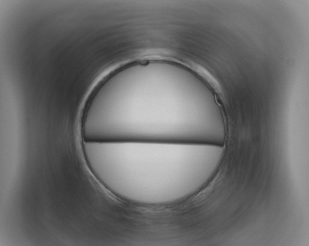 X0000111931384200908101133