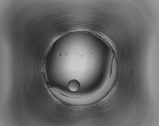 X0000111931385200908101133