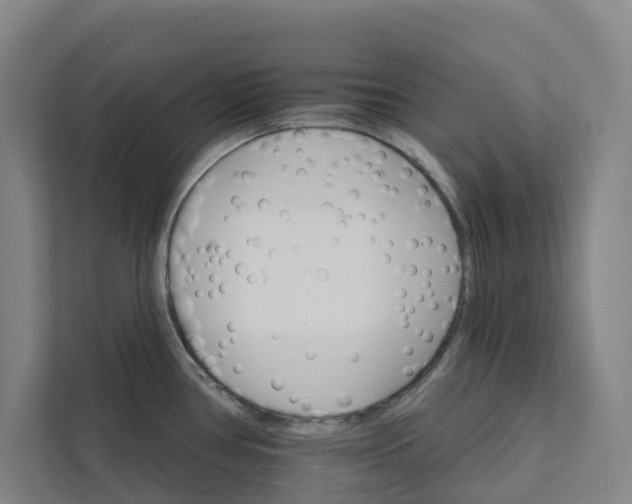 X0000111931386200908101133