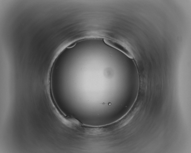 X0000111931387200908101133