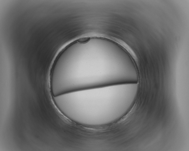 X0000111931388200908101133