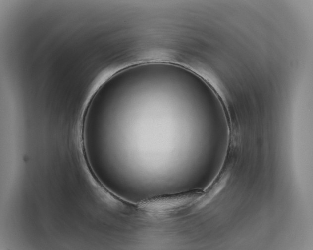 X0000111931389200908101133