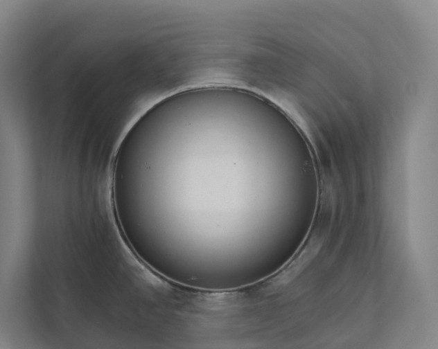 X0000111931390200908101133