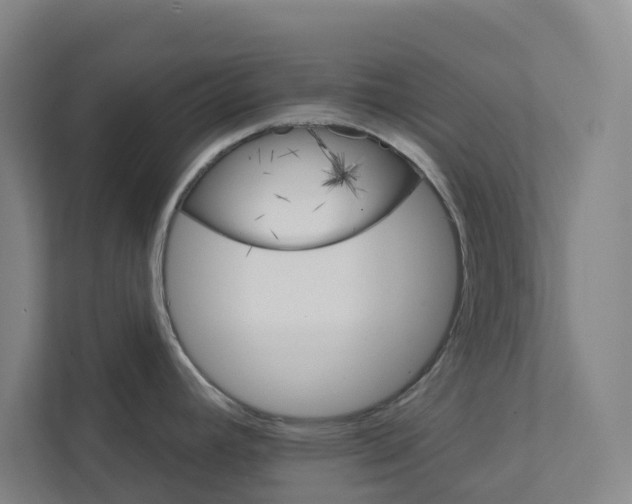 X0000111931392200908101133