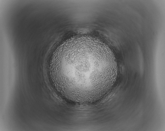 X0000111931393200908101132