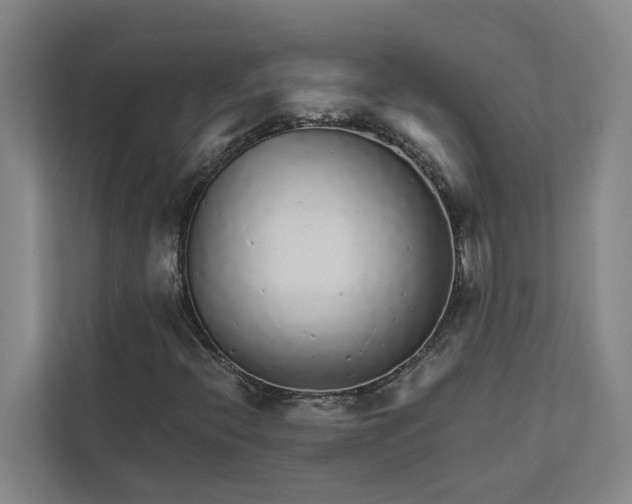 X0000111931396200908101132