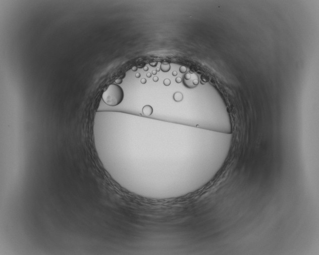 X0000111931398200908101132