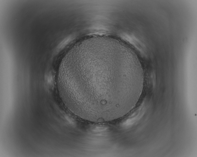 X0000111931399200908101132