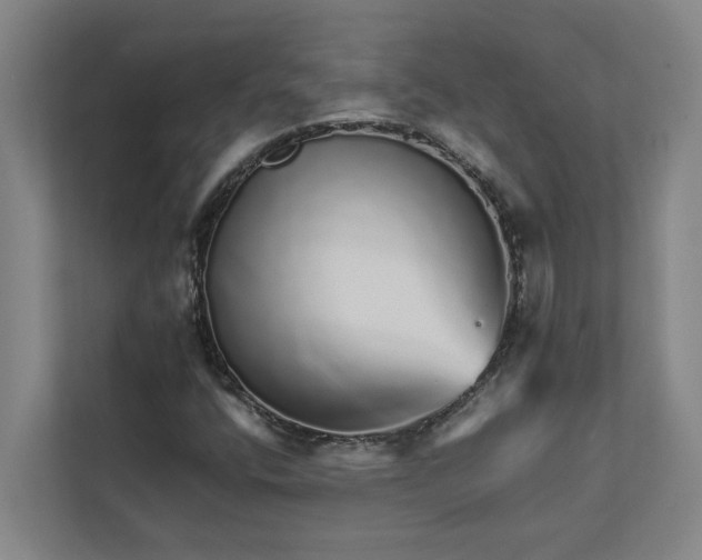 X0000111931400200908101132