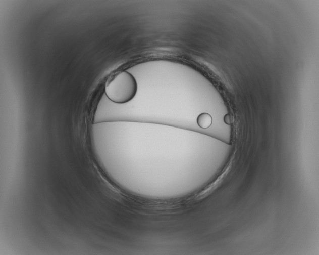 X0000111931402200908101132