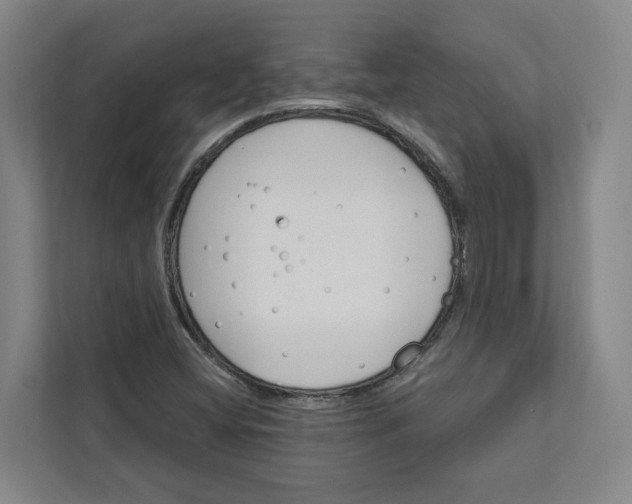 X0000111931404200908101132