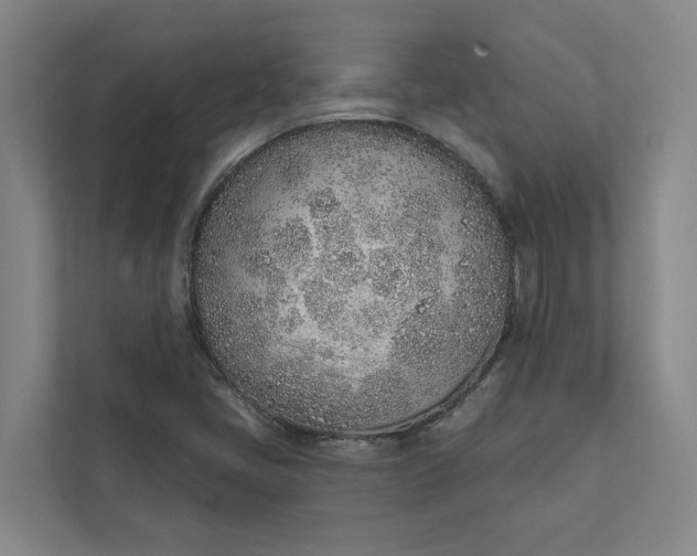 X0000111931405200908101132