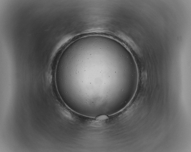 X0000111931406200908101132