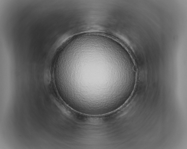 X0000111931407200908101132